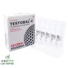 Testosterone Cypionate TESTOBAL-C  250mg 10x1ml Global Pharma - obrazek 2